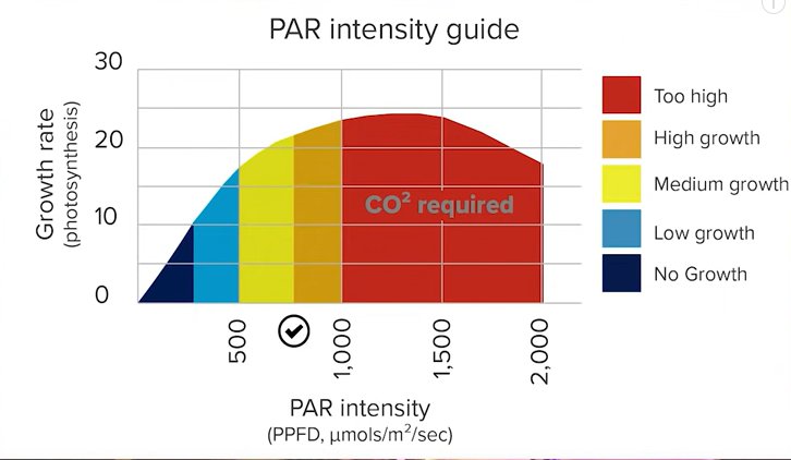 par-intensiteit