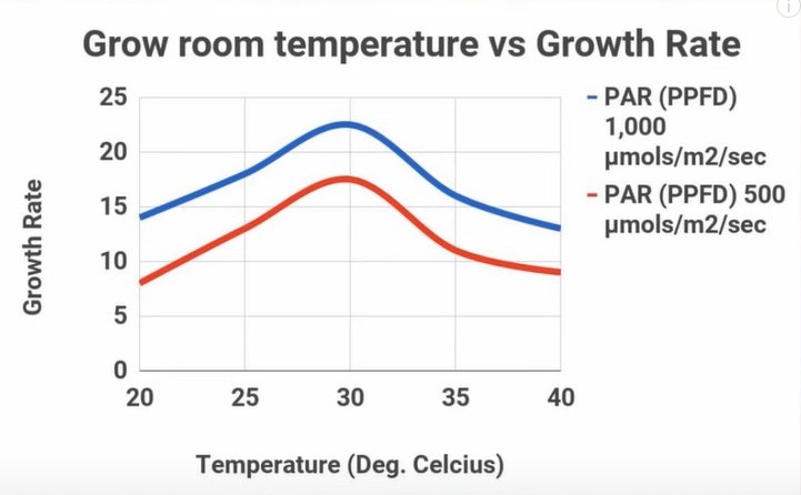 temperature-optimum